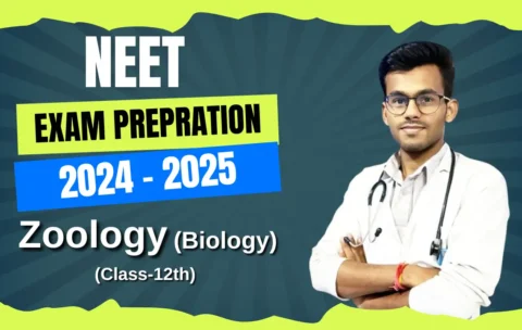 neet exam preparation